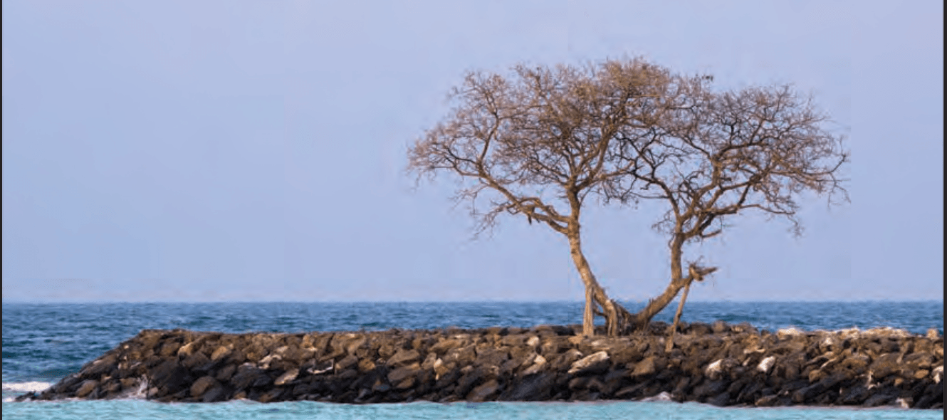 Understanding Risk: The Maldives Multihazard Atlas